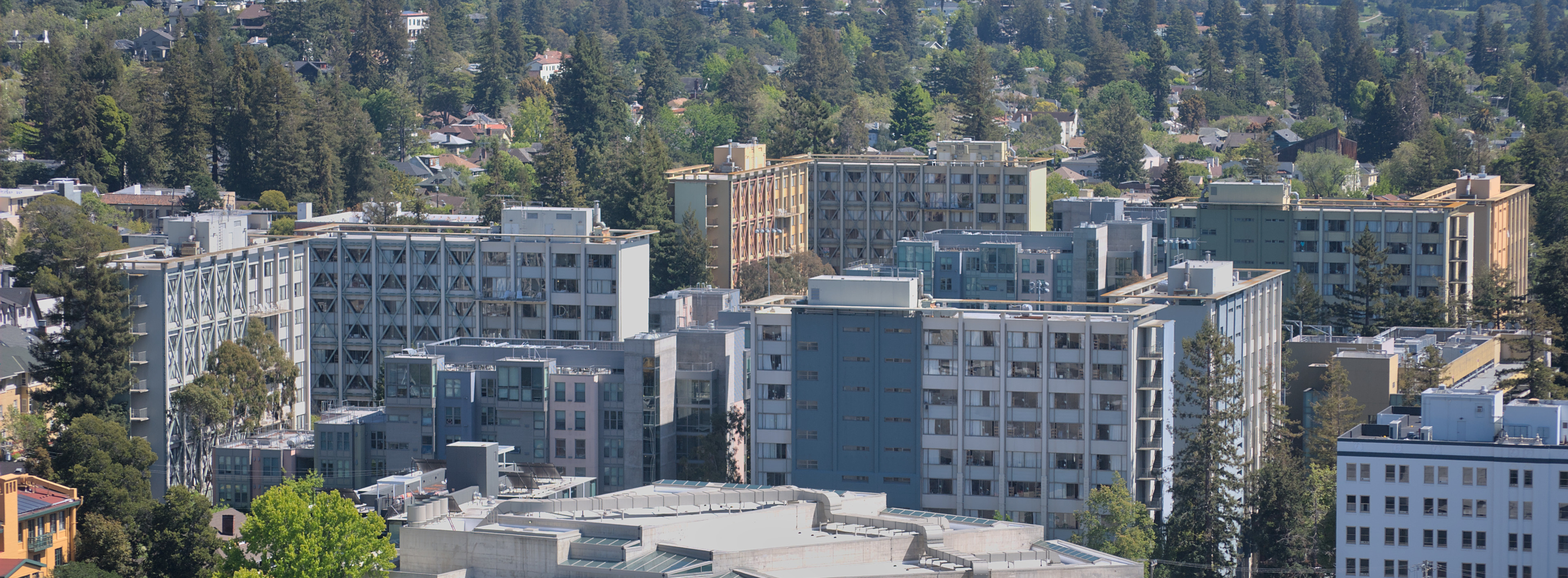 Berkeley Students Are Losing $45 Million on Empty Apartments